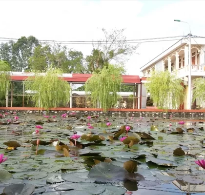 hồ hoa súng